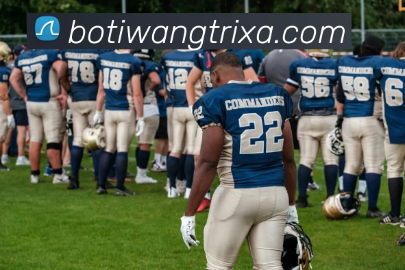 博体网品牌故事